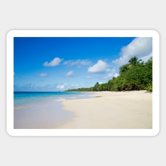 Sandy Beach of Caribbean Island Sticker by cinema4design
